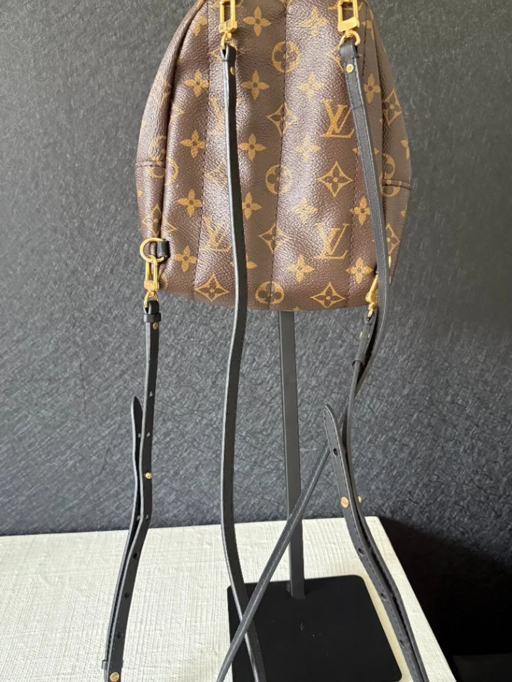 Louis Vuitton Palm Springs Mini Backpack